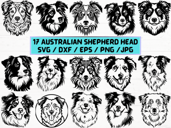 Australian Shepherd Head SVG, DXF, EPS: A Versatile Asset for Modern Designers and Creators