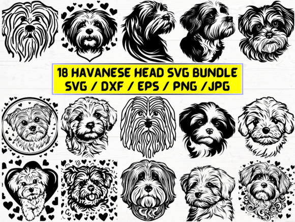 Havanese Head SVG for Creative Projects